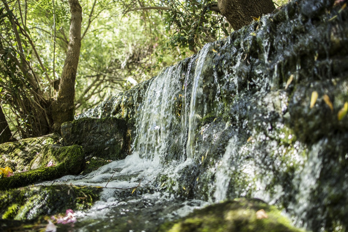 Woodland path along the Menalva stream at Fonte da Benémola