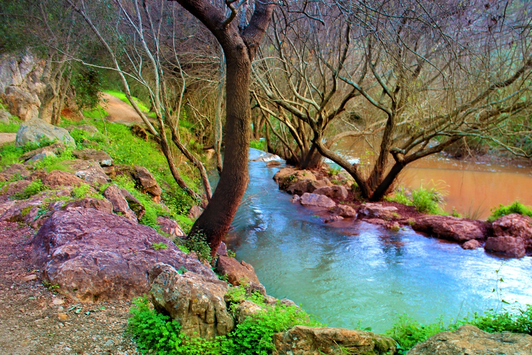 Picnic area and spring vegetation at Fonte da Benémola