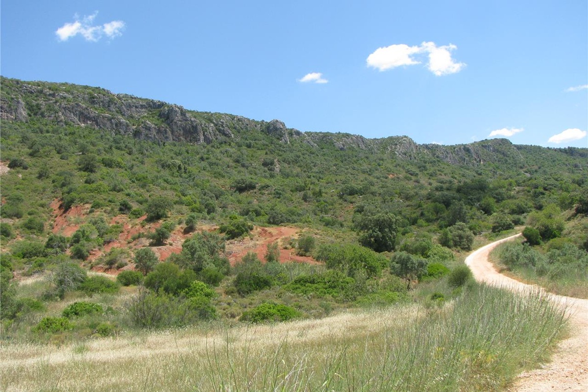 Rocky trail and scrub vegetation on Rocha da Pena