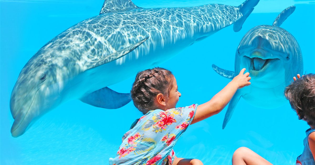 Children watching dolphins through an underwater window at Zoomarine near Albufeira