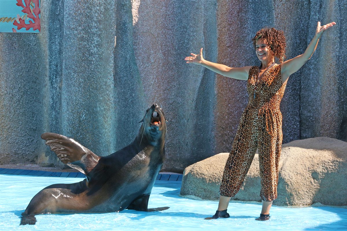 Sea lion presentation with trainer at Zoomarine, Guia